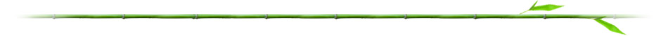 bamboo