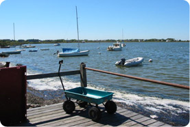 Fire Island