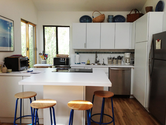 Fire Island Sharon DeLeasa Realty Rental Listing