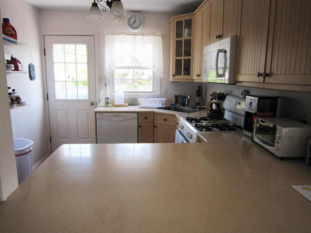 Fire Island Sharon DeLeasa Realty Rental Listing
