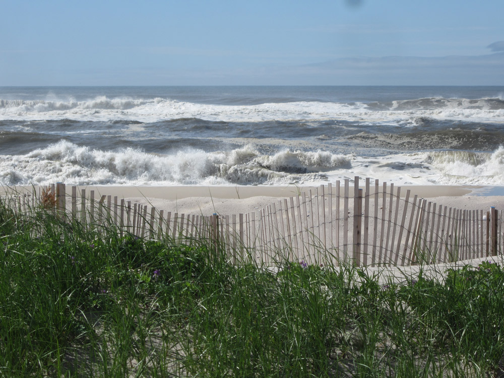 Fire Island Sharon DeLeasa Realty Rental Listing