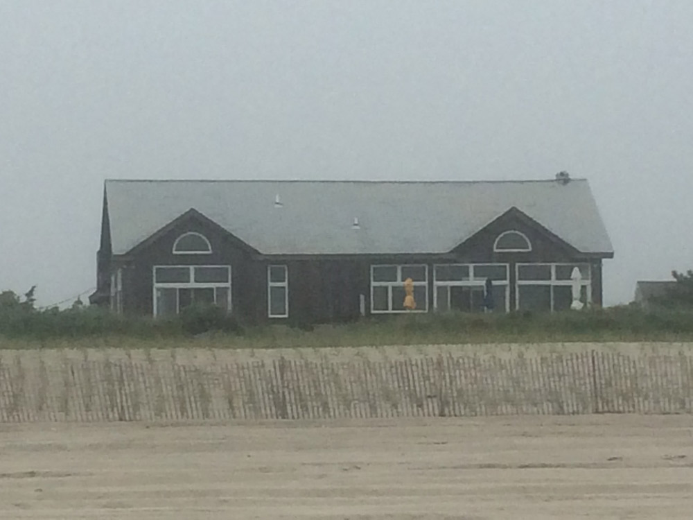 Fire Island Sharon DeLeasa Realty Rental Listing