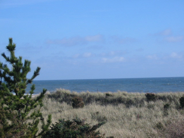Fire Island Sharon DeLeasa Realty Rental Listing