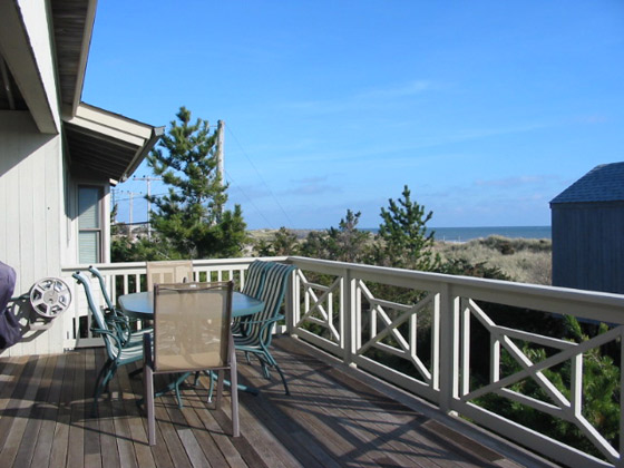 Fire Island Sharon DeLeasa Realty Rental Listing