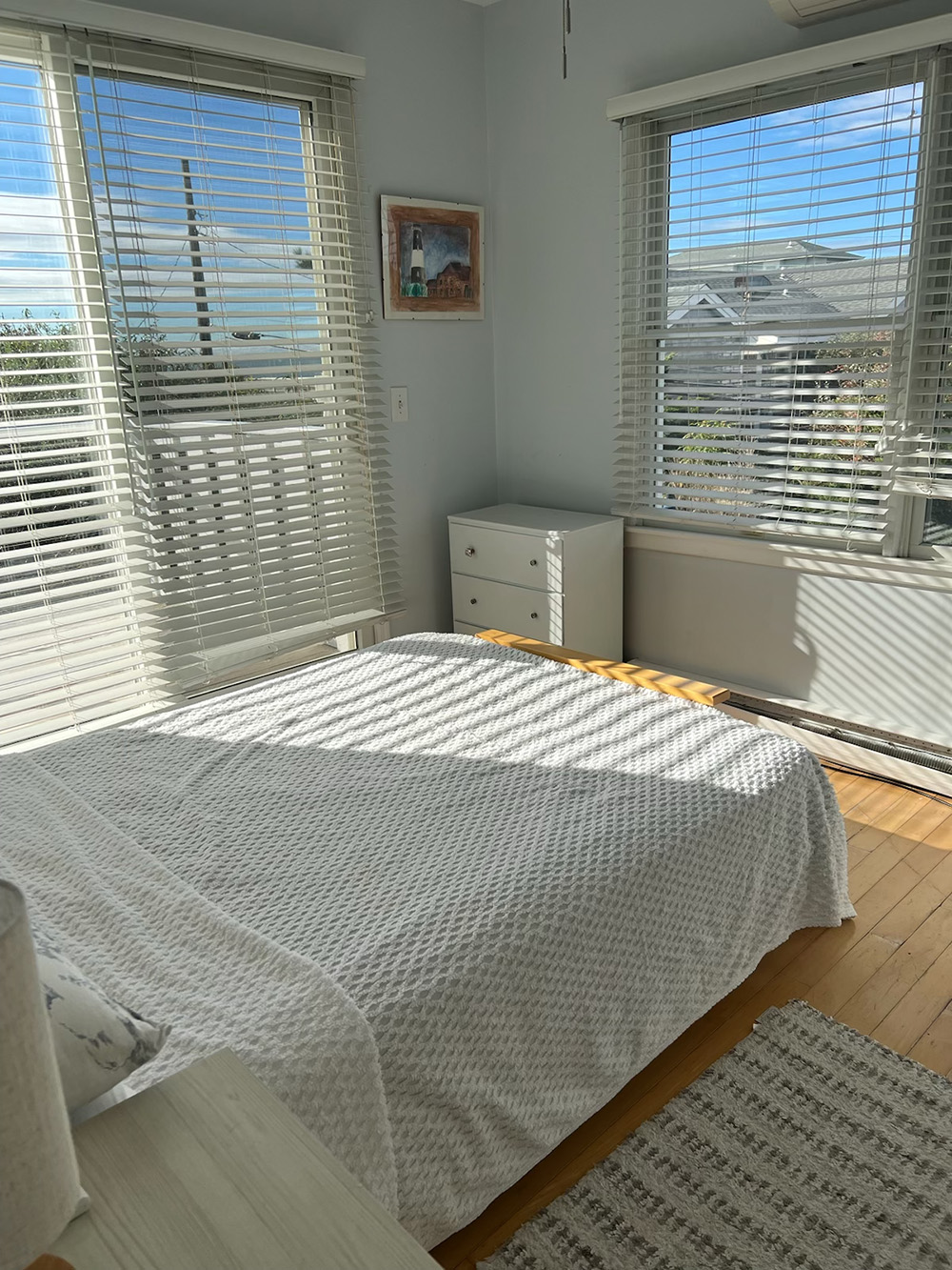 Fire Island Sharon DeLeasa Realty Rental Listing