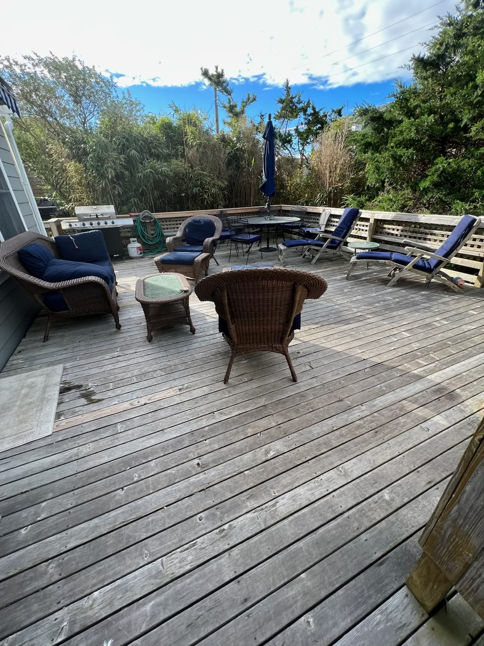 Fire Island Sharon DeLeasa Realty Rental Listing