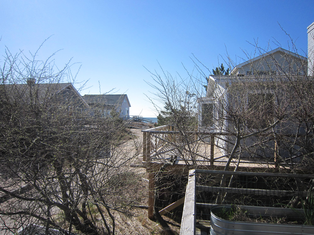 Fire Island Sharon DeLeasa Realty Rental Listing